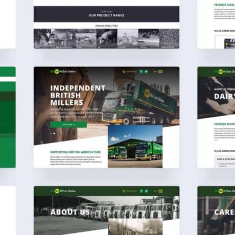 WEBSITE DESIGN AND DEVELOPMENT