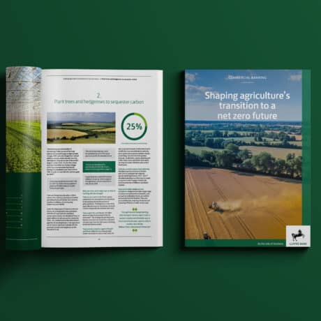 Brochure design