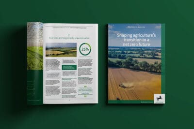 Promar and Lloyds Bank Branding