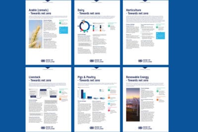 Promar and Bank of Scotland Branding