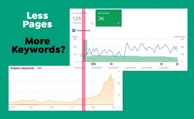 Will A Technical SEO Audit Show Your Website Has Too Many Pages?