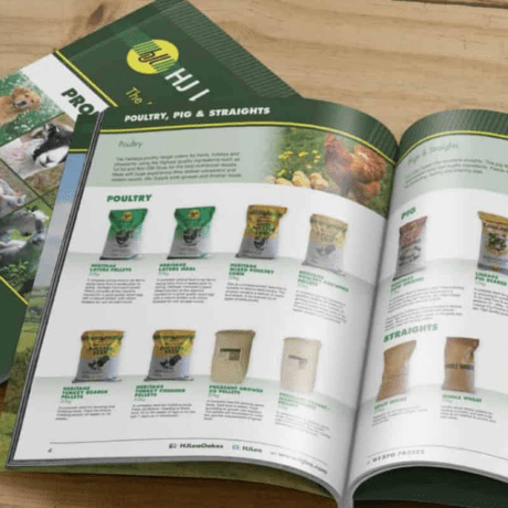 Catalogue design